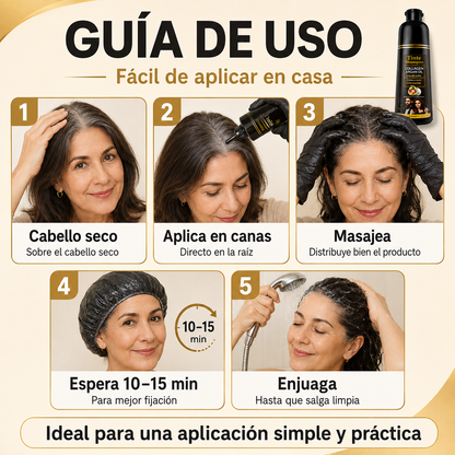 CHAMPÚ TINTE DISAAR Anti Canas (400 ML) ORIGINAL : Sin amoníaco, color natural y cabello con más vida
